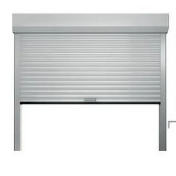 Porte de garage Profalux enroulable Castellane